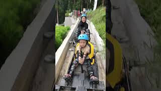 Download lagu Forest Kopi Batang mp3