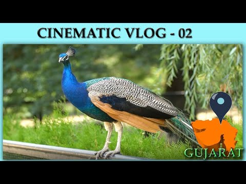 CINEMATIC VLOG - 02 | VATSAL SHETH