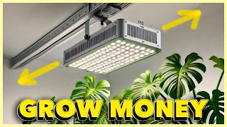 Grow LIGHT MOVERS save you BIG $$$