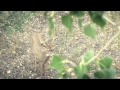 Headhunter S TV Headhunting Montana Part 1