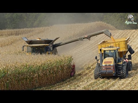 XXL Corn Harvest | CR 9.90 - MT 875C - Quadtrac 620 | Pure Sound