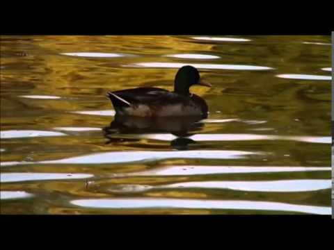 Rest in the immediate as though it were infinity