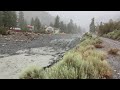 'That Is Crazy': Locals Watch as Mudflow Surges Through California Canyon -- Storyful