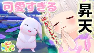 うすチュウ登場！反則級のかわいさに衝撃を受ける！！【ぽこあポケモン】#8