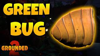How to Get Green Shield Bug Parts in Grounded 2 Into The Abyss Update