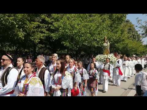 Procesija na Veliku Gospu, Tolisa, 2023.