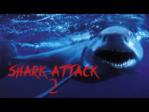 Shark Attack Full Movie | Hollywood Movies In Hindi Dubbed Full Horror Movie | Action Movie JAWS 4
