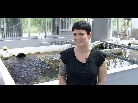 FAU Faculty Spotlight - Sara Edge Ph.D.