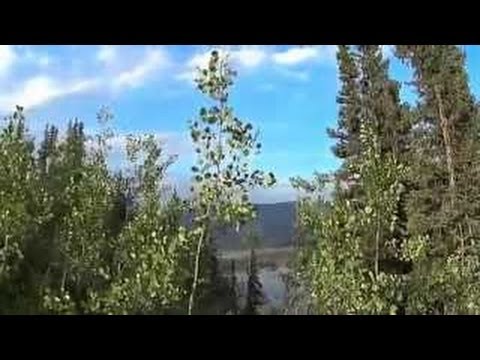 YUKON RIVER KANU-TOUR | 7 TAGE DURCH DIE WILDNIS | Teil 1 | REISE-DOKU-VLOG N° 28