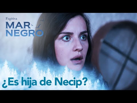 Berrak is the daughter of Necip - Chapter 44 | Fugitive