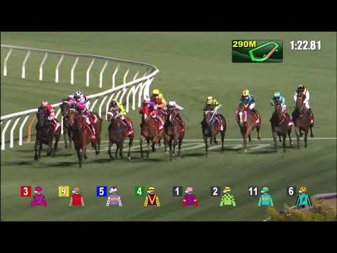 24/2/2021 (459) Green Luck - J Moreira (Fownes 3 Wins)