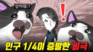 국가에서 자연재해를 방치하면 어떻게 될까?／아일랜드 대기근