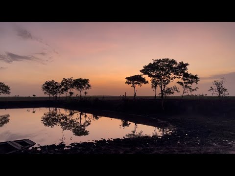 Aventura Completa em São João Batista – MA | Pesca, Farinha, Chuva e Vida Simples