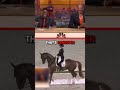 Crip Walking Horse ️ Snoopdogg Kevinhart Music