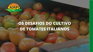 Miniatura do vídeo