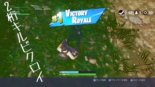 Fortnite　だらだらやってく　～ソロビクロイ～