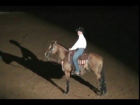 Trevor Dare WEG 2010