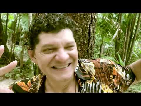 Cocar - Adilson Alcântara