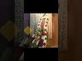 Ayya Songs