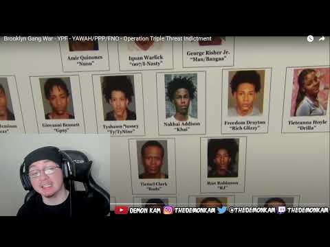 Demon Kam Reacts to Brooklyn Gang War - YPF - YAWAH/PPP/FNO - Operation Triple Threat Indictment!!