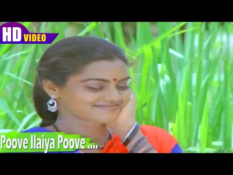 Poove Ilaiya Poove song | Malaysia Vasudevan, Chorus | Ilaiyaraaja | Vairamuthu | Kozhi Koovuthu .