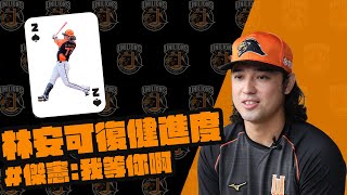 [分享] 獅王Spotlight#006：好久不見，林安可