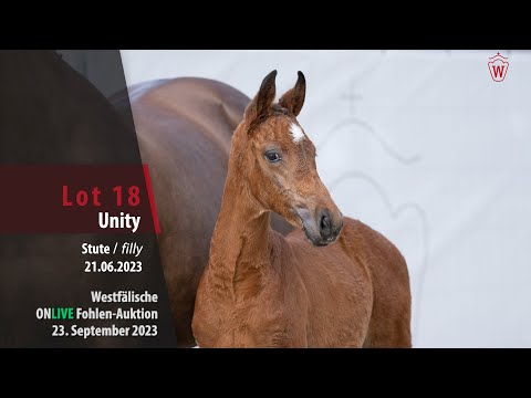 ONLIVE Fohlen-Auktion Lot 18 Unity Stute v. United Touch S - Comme il faut NRW