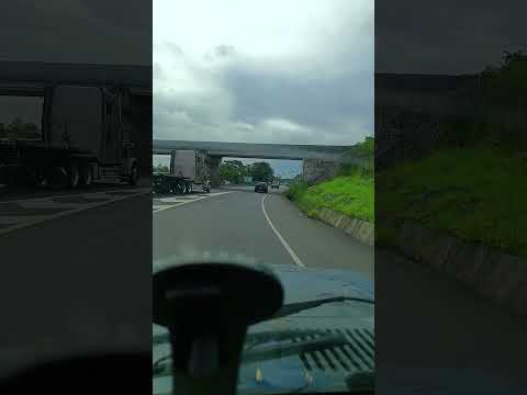 Puente elevado guacimo limón costa rica