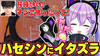 ハセシンにイタズラする紫宮るな【バーチャルゴリラ/ぶいすぽっ!/ APEX/切り抜き】