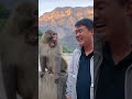 Monkey brother laughed so happily that he became a spirit