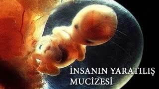İNSANIN YARATILIŞ MUCİZESİ ᴴᴰ