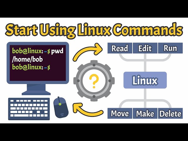 Getting Started with Linux CLI: Must-Know Commands | Linux Basics ...