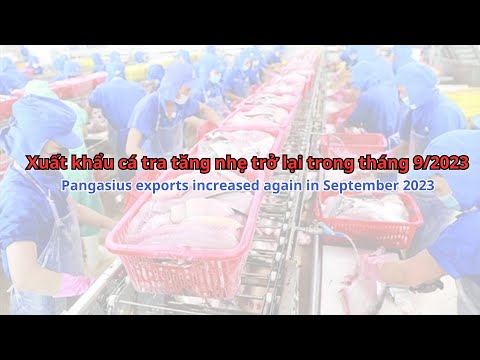 Destaque VASEP - T10/2023: 9/2023