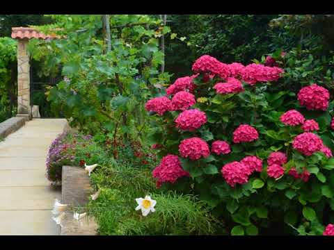 3-Bedroom Apartment in Lovran/Opatija Riviera 15104 | 51415 Opric, Croatia | AZ Hotels