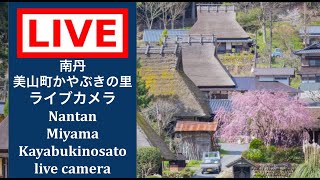 【LIVE CAMERA】#南丹市 #美山かやぶきの里 #ライブカメラ #livecamera #nantan #miyama #thatchedvillage #美山 live webcam