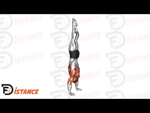 Exercice Handstand