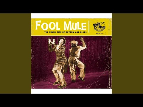 Has Anybody Seen My Kitty