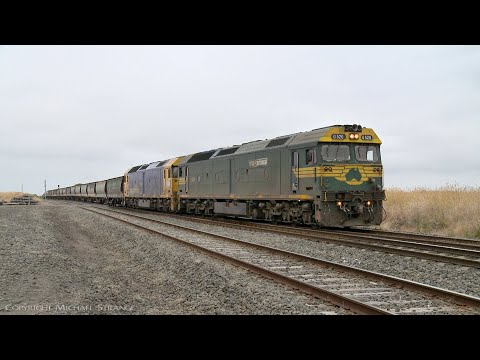 7731V Pacific National Grain Train At Gheringhap Loop (4/1/2022) - PoathTV Australian Railways
