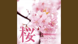 Sakura No Toki (Originally Performed By Aiko)