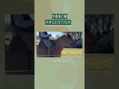 Rodeo Argentina _ Cordoba _  La Cautiva #cavalocrioulo #caballocriollo