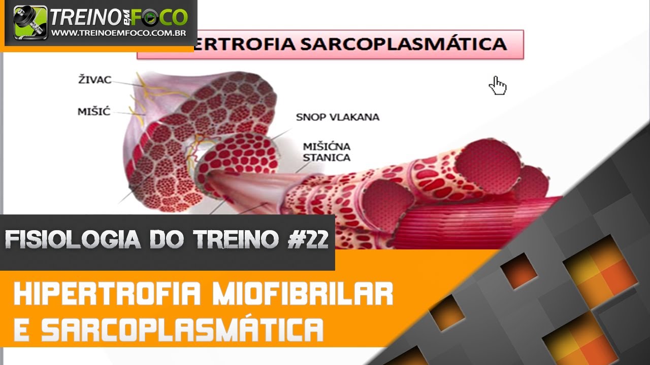Hipertrofia Miofibrilar e Hipertrofia Sarcoplasmática - Fisiologia do Treino #22