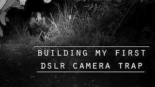 How to build a DSLR camera trap, by a guy that doesn't know how to build one...