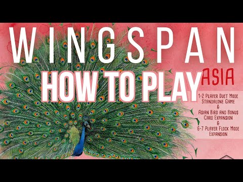 How to Play Duet Mode for Wingspan (Asia Expansion) - Bored Online? Board Offline!