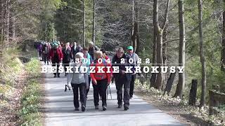 Beskidzkie Krokusy 30.04.2022