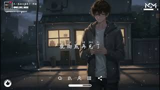 Download lagu 天一亮我也该走了 - 阿钦「打开电视选择什么栏目，今夜的你解锁什么人物。」♪【動態歌詞MV】♪ mp3