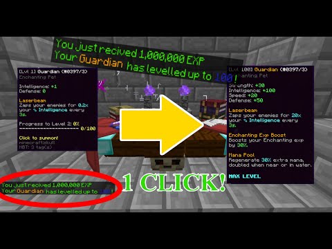 THE *BEST* WAYS TO LEVEL UP PETS 2022 | Hypixel Skyblock | Minecraft