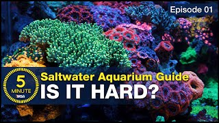 5-Minute Guide To Saltwater Aquariums