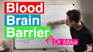 Blood Brain Barrier