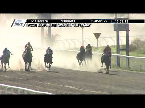 CARRERAS SINT COLONIA - 220505 c06 1° EL VIGIA