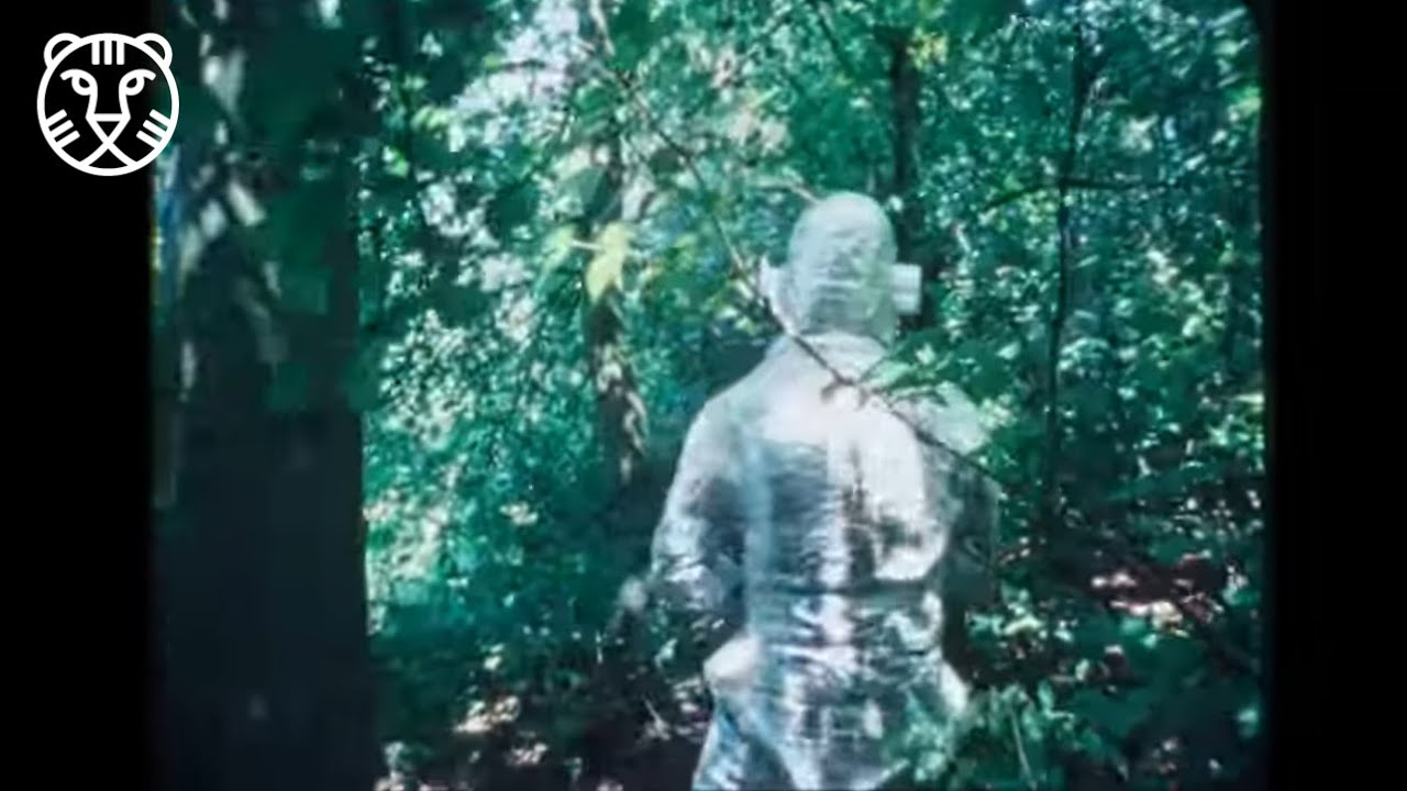 IFFR presents: El arca